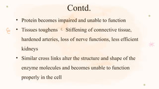 Contd.
• Protein becomes impaired and unable to function
• Tissues toughens  Stiffening of connective tissue,
hardened arteries, loss of nerve functions, less efficient
kidneys
• Similar cross links alter the structure and shape of the
enzyme molecules and becomes unable to function
properly in the cell
 