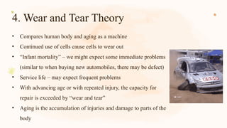 4. Wear and Tear Theory
• Compares human body and aging as a machine
• Continued use of cells cause cells to wear out
• “Infant mortality” – we might expect some immediate problems
(similar to when buying new automobiles, there may be defect)
• Service life – may expect frequent problems
• With advancing age or with repeated injury, the capacity for
repair is exceeded by “wear and tear”
• Aging is the accumulation of injuries and damage to parts of the
body
 
