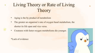 Living Theory or Rate of Living
Theory
• Aging is the by product of metabolism
• The greater an organism’s rate of oxygen basal metabolism, the
shorter its life span and vice versa.
• Creatures with faster oxygen metabolisms die younger.
*Lack of evidence
 