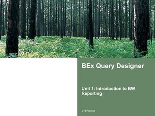 BEx Query Designer Unit 1: Introduction to BW Reporting 7/17/2007 