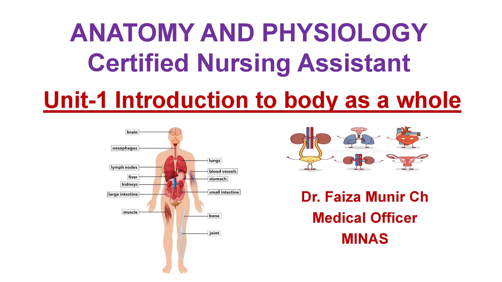 Basic Body Systems Cna Worksheet.pdf Unit 1 introduction to human body as a whole cna | PDF