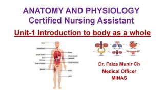 Unit 1 introduction to human body as a whole cna 