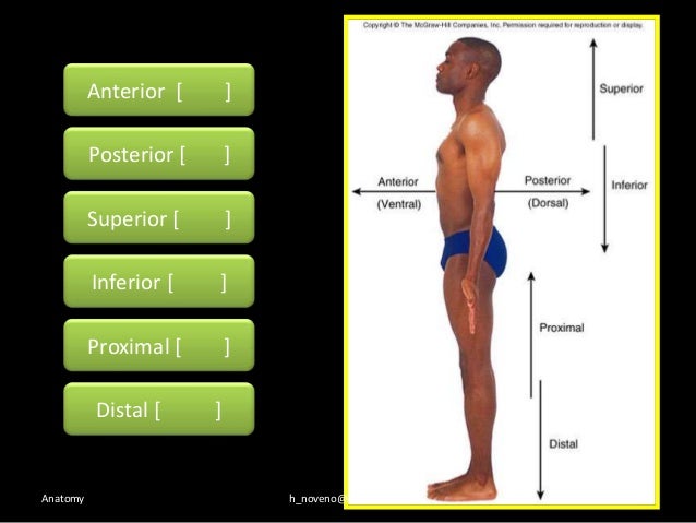 Unit 1 Intro to Anatomy