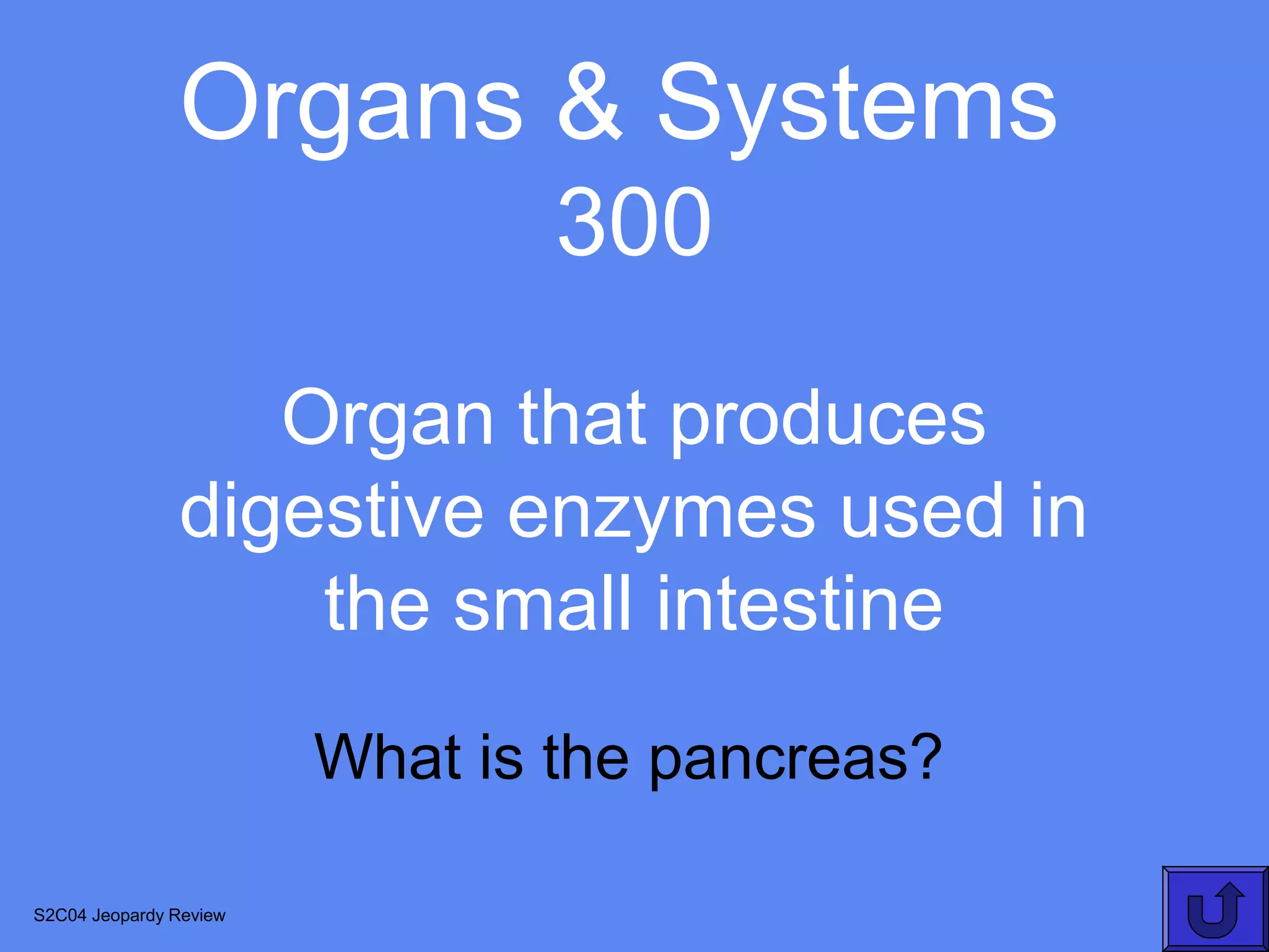 Organs & Systems
                                300
                  Organ that produces
               digestive enzymes used in
                   the small intestine
                        What is the pancreas?

S2C04 Jeopardy Review
 