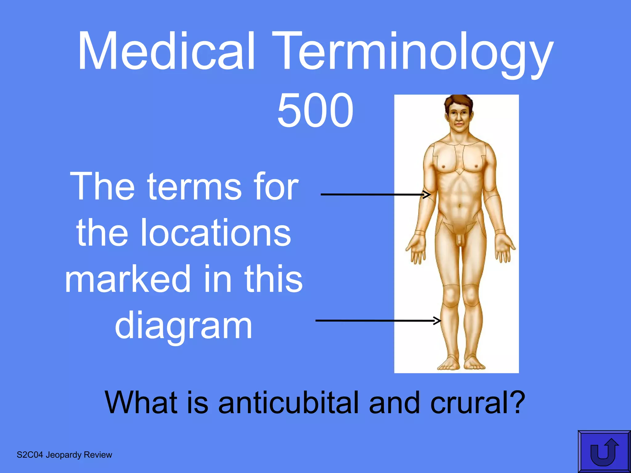 Medical Terminology
                               500
          The terms for
          the locations
          marked in this
            diagram
                   What is anticubital and crural?
S2C04 Jeopardy Review
 