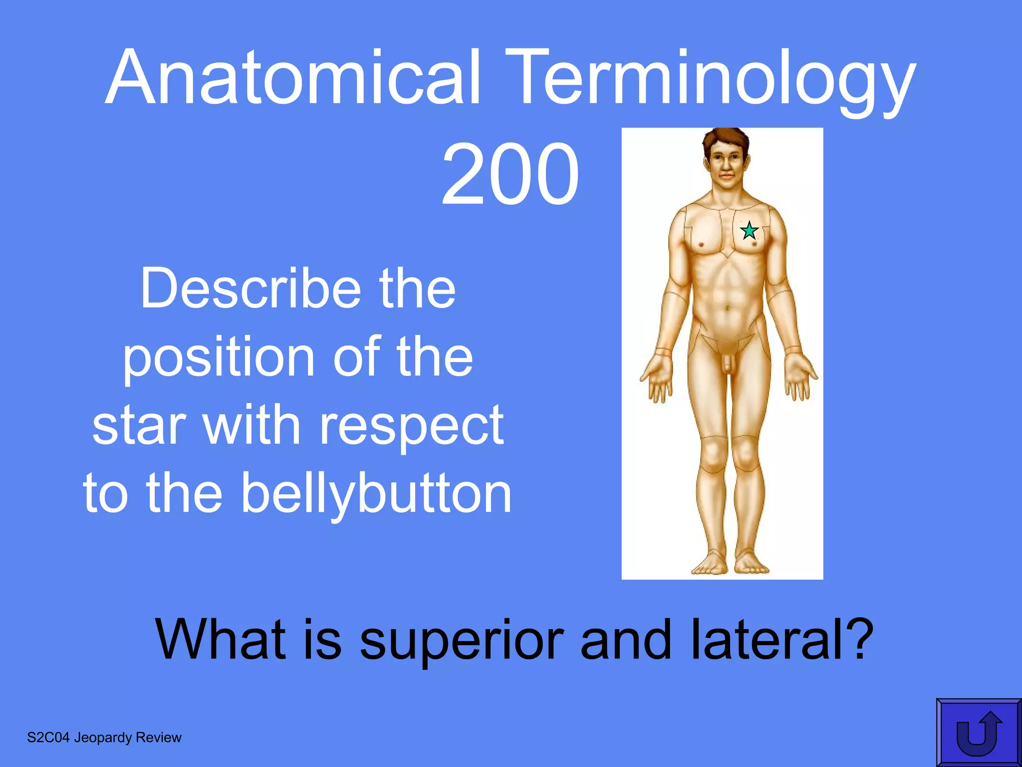 Anatomical Terminology
                            200
          Describe the
         position of the
        star with respect
       to the bellybutton

                 What is superior and lateral?
S2C04 Jeopardy Review
 