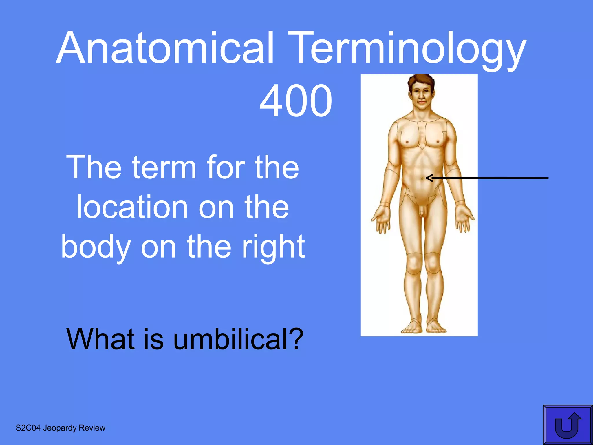 Anatomical Terminology
                  400
          The term for the
           location on the
          body on the right

           What is umbilical?

S2C04 Jeopardy Review
 