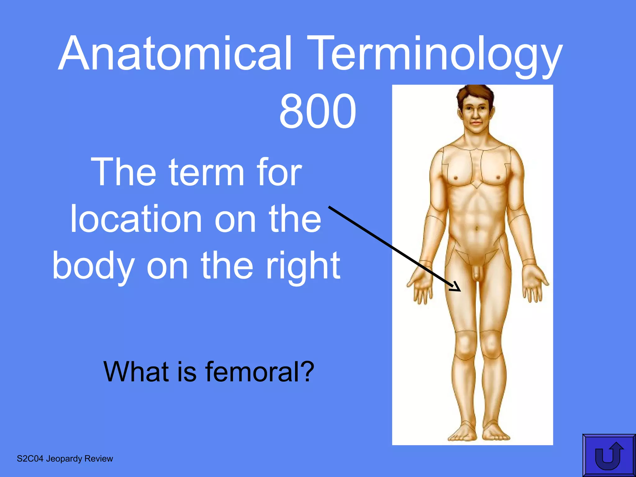 Anatomical Terminology
                 800
          The term for
        location on the
       body on the right

                  What is femoral?

S2C04 Jeopardy Review
 