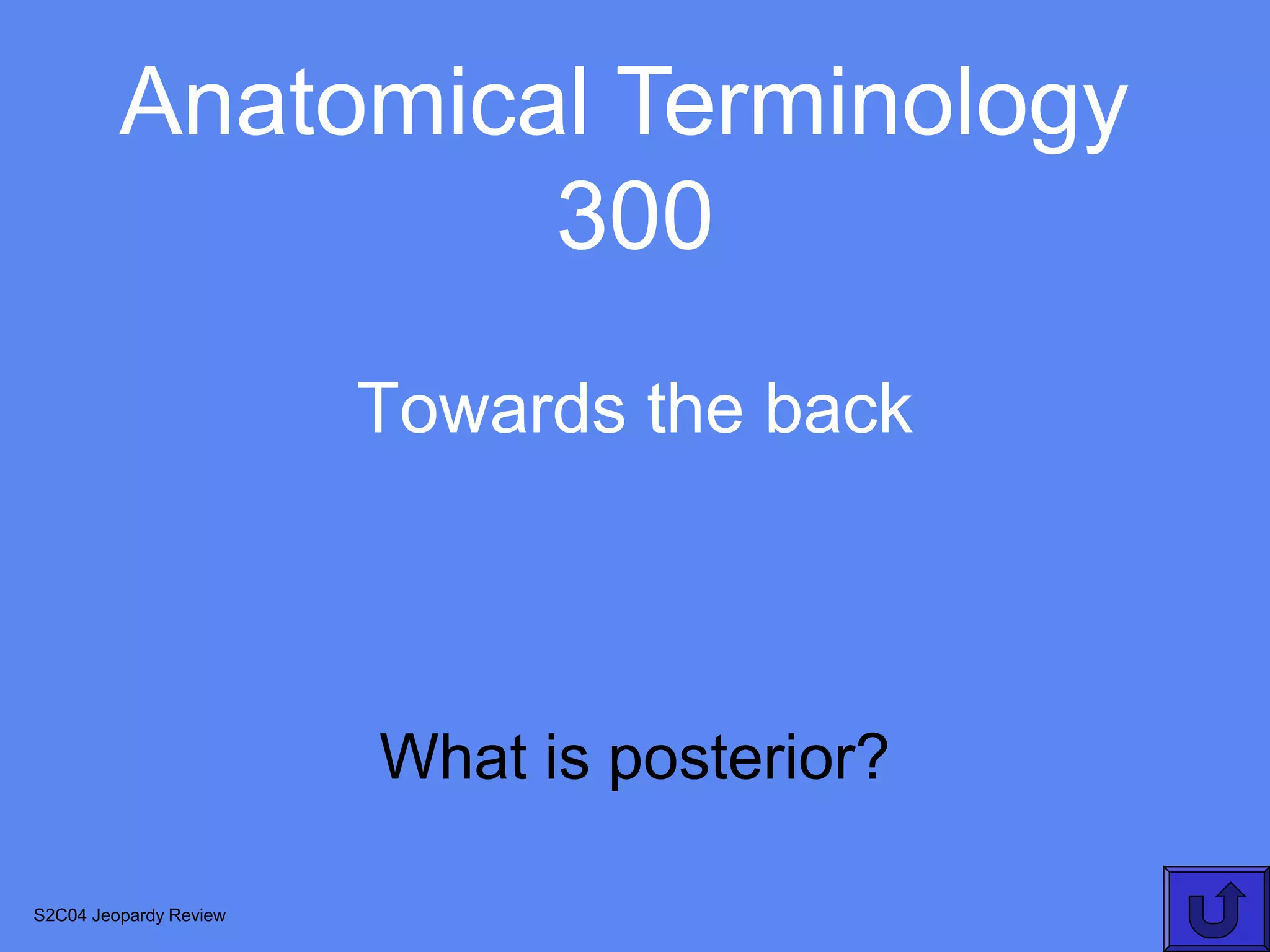 Anatomical Terminology
                  300
                        Towards the back



                        What is posterior?

S2C04 Jeopardy Review
 