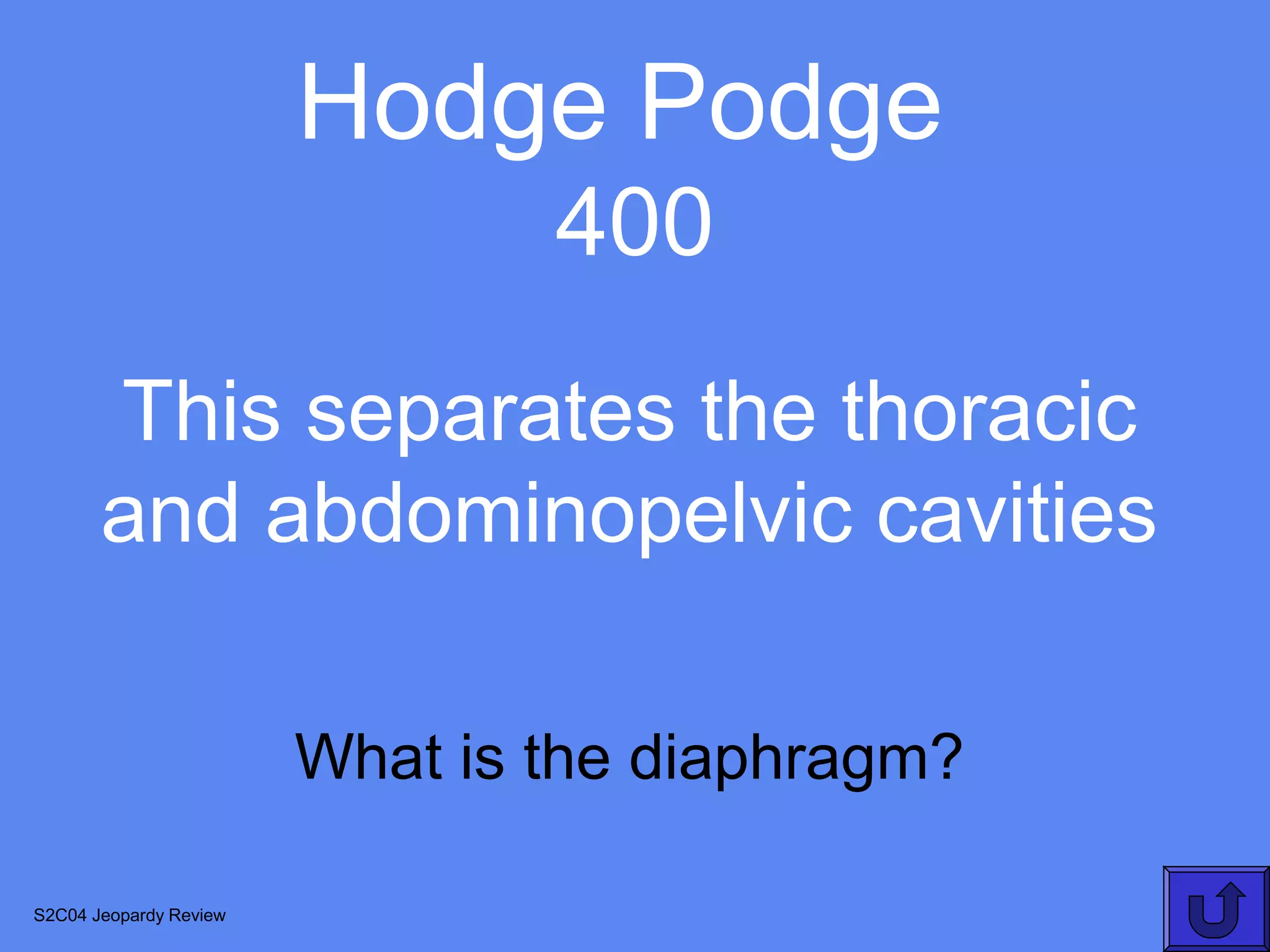 Hodge Podge
                                400
       This separates the thoracic
       and abdominopelvic cavities

                        What is the diaphragm?

S2C04 Jeopardy Review
 