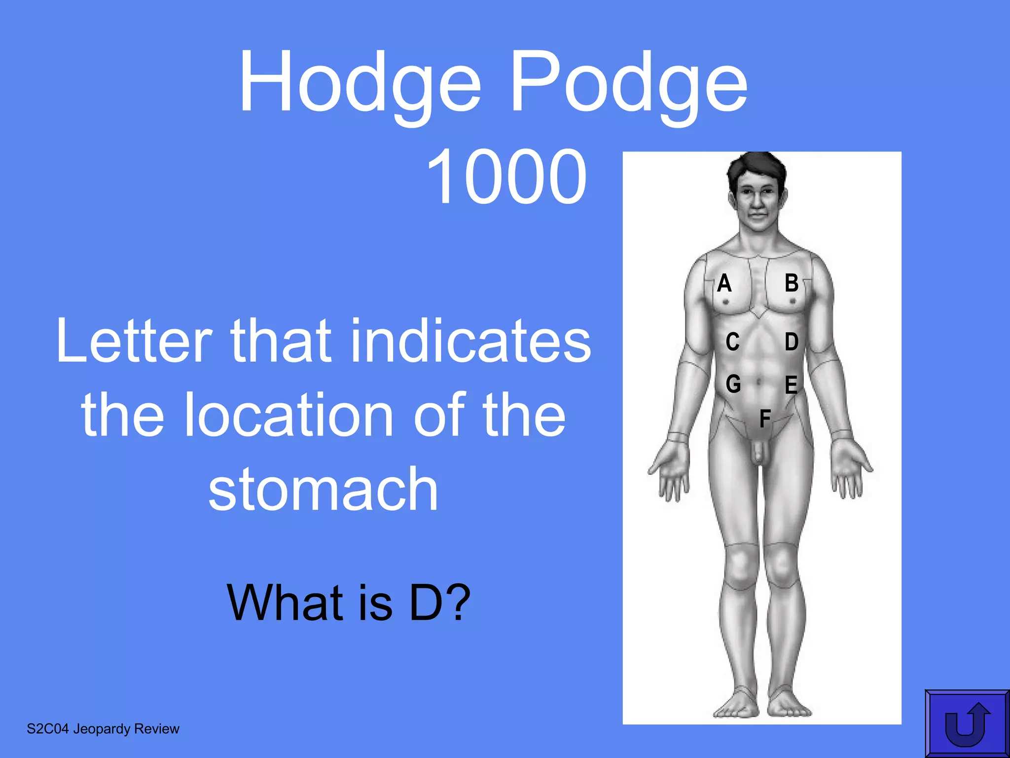 Hodge Podge
                               1000
                                      A       B

   Letter that indicates              C       D
                                      G       E
    the location of the                   F


         stomach
                        What is D?

S2C04 Jeopardy Review
 