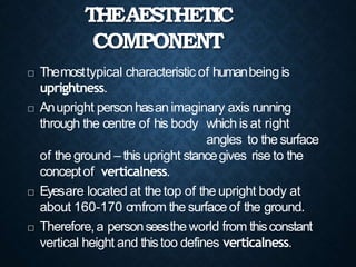 THEAESTHETIC
COMPONENT
 Themosttypical characteristic of humanbeingis
uprightness.
 Anupright personhasan imaginary axis running
through the centre of his body which is at right
angles to the surface
of the ground – thisupright stancegives rise to the
conceptof verticalness.
 Eyesare located at the top of the upright body at
about 160-170 cmfrom the surfaceof the ground.
 Therefore,a personseesthe world from thisconstant
vertical height and thistoo defines verticalness.
 