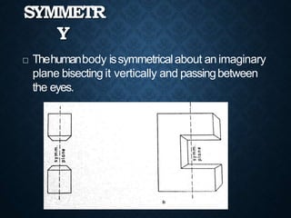 SYMMETR
Y
 Thehumanbody issymmetricalabout animaginary
plane bisecting it vertically and passingbetween
the eyes.
 