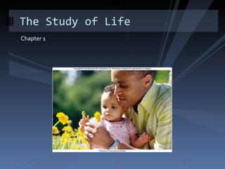 Chapter 1 The Study of Life 