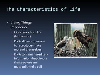 The Characteristics of Life Living Things Reproduce Life comes from life (biogenesis) DNA allows organisms to reproduce (make more of themselves) DNA contains hereditary information that directs the structure and metabolism of a cell 
