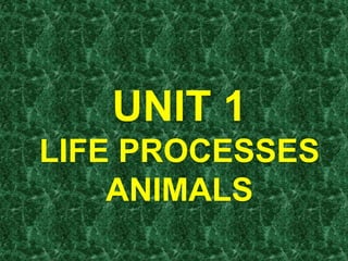 UNIT 1
LIFE PROCESSES
ANIMALS
 