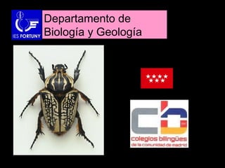 Departamento de
Biología y Geología

 