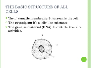 THE BASIC STRUCTURE OF ALL
CELLS
 The plasmatic membrane: It surrounds the cell.
 The cytoplasm: It’s a jelly-like substance.
 The genetic material (DNA): It controls the cell’s
activities.
 