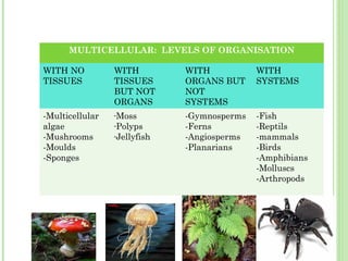 MULTICELLULAR: LEVELS OF ORGANISATION
WITH NO
TISSUES
WITH
TISSUES
BUT NOT
ORGANS
WITH
ORGANS BUT
NOT
SYSTEMS
WITH
SYSTEMS
-Multicellular
algae
-Mushrooms
-Moulds
-Sponges
-Moss
-Polyps
-Jellyfish
-Gymnosperms
-Ferns
-Angiosperms
-Planarians
-Fish
-Reptils
-mammals
-Birds
-Amphibians
-Molluscs
-Arthropods
 