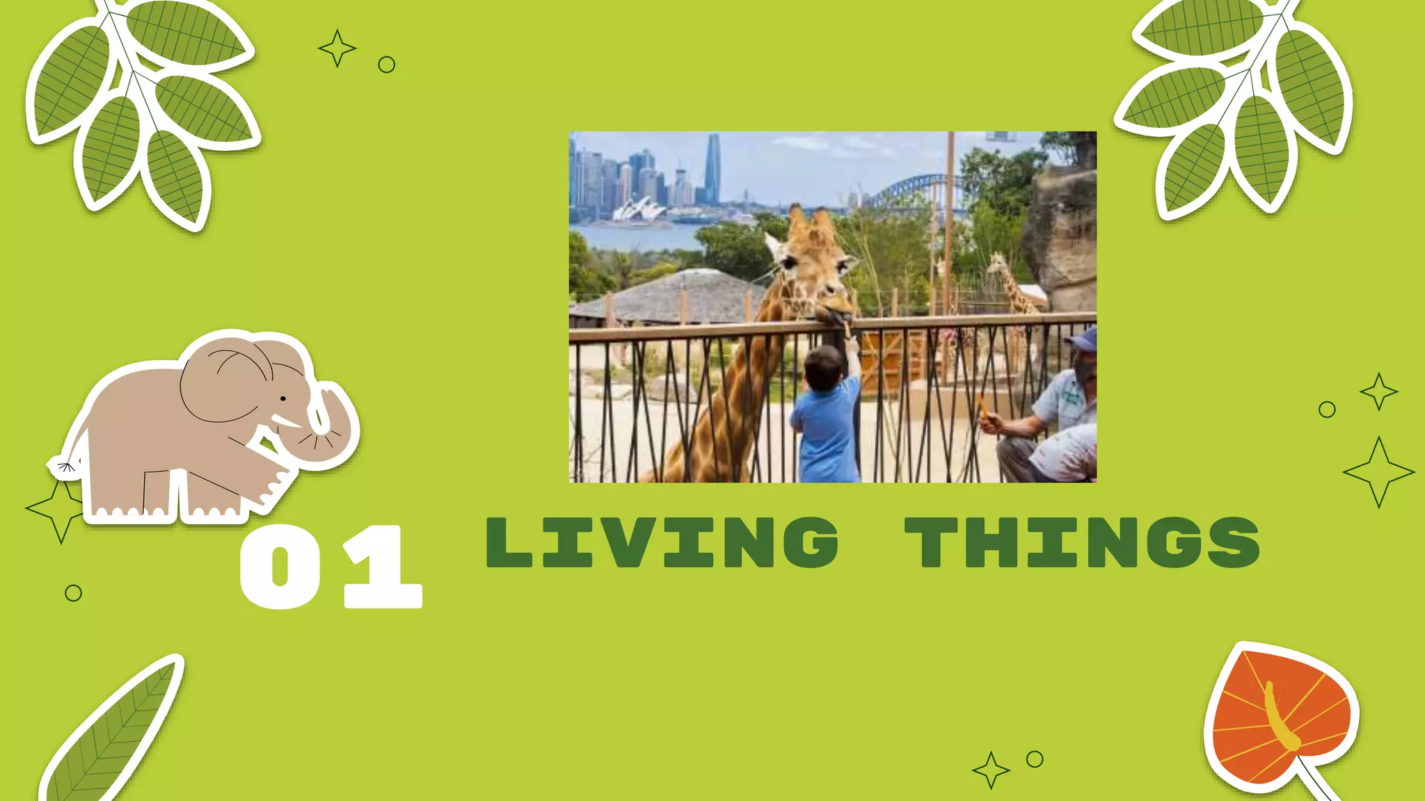 UNIT 1 LIVING THINGS AND NON-LIVING THINGS.pptx