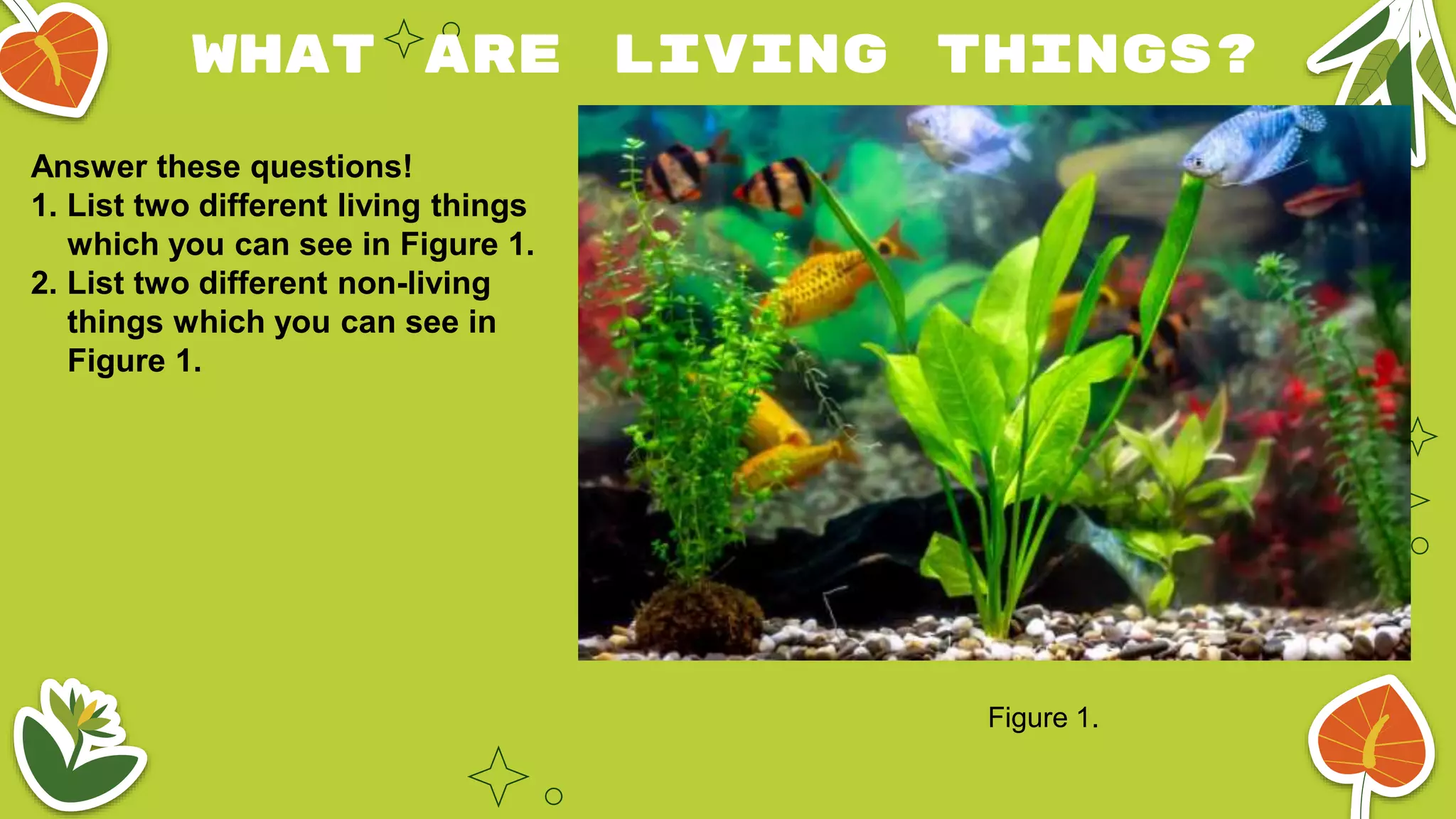 UNIT 1 LIVING THINGS AND NON-LIVING THINGS.pptx