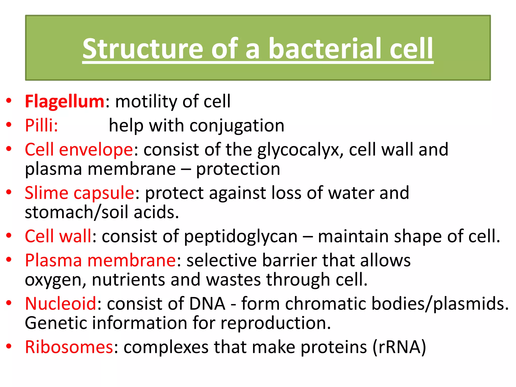 Structure of a bacterial cell
• Flagellum: motility of cell
• Pilli: help with conjugation
• Cell envelope: consist of the glycocalyx, cell wall and
plasma membrane – protection
• Slime capsule: protect against loss of water and
stomach/soil acids.
• Cell wall: consist of peptidoglycan – maintain shape of cell.
• Plasma membrane: selective barrier that allows
oxygen, nutrients and wastes through cell.
• Nucleoid: consist of DNA - form chromatic bodies/plasmids.
Genetic information for reproduction.
• Ribosomes: complexes that make proteins (rRNA)
 