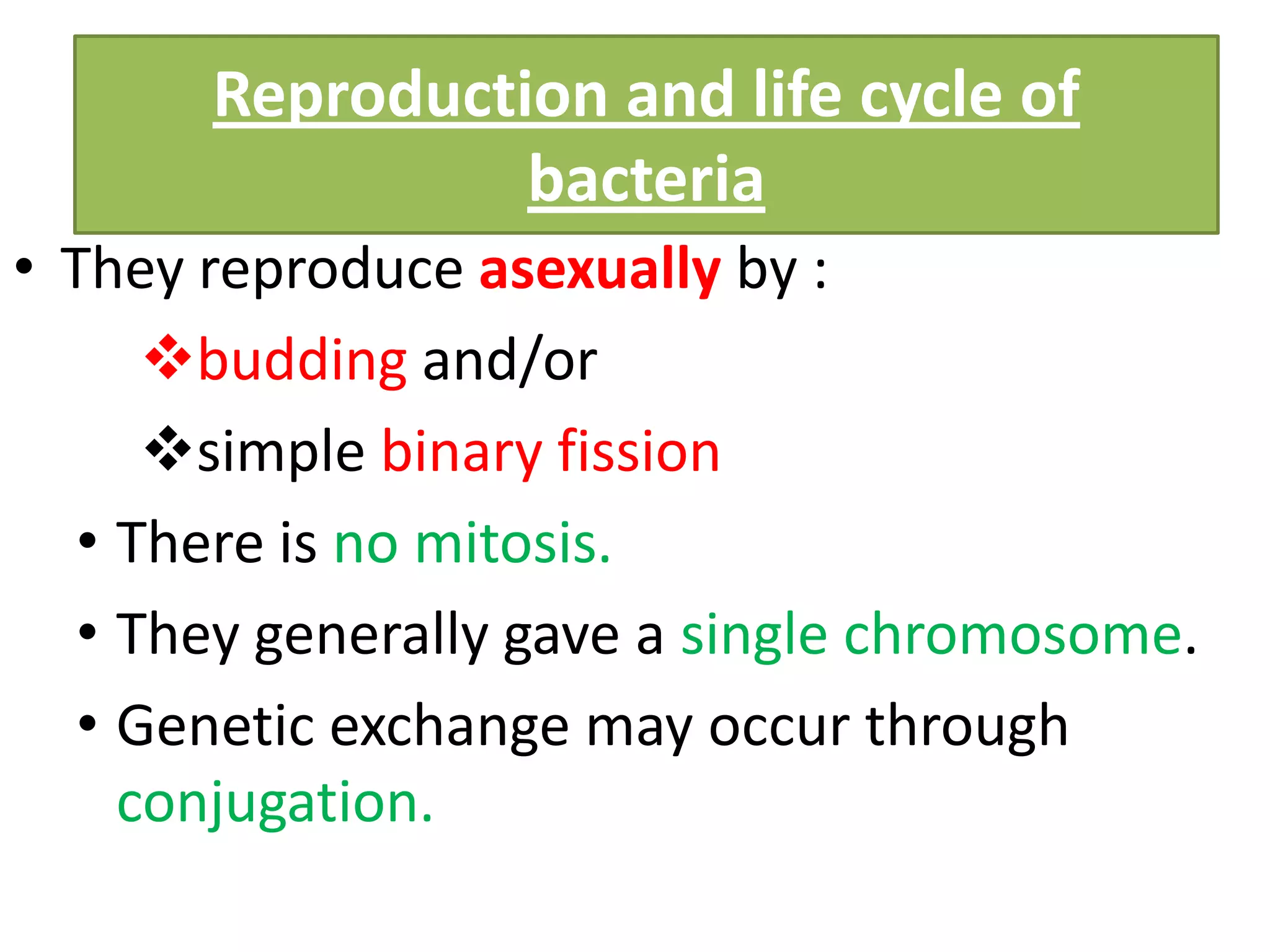 Reproduction and life cycle of
bacteria
• They reproduce asexually by :
budding and/or
simple binary fission
• There is no mitosis.
• They generally gave a single chromosome.
• Genetic exchange may occur through
conjugation.
 