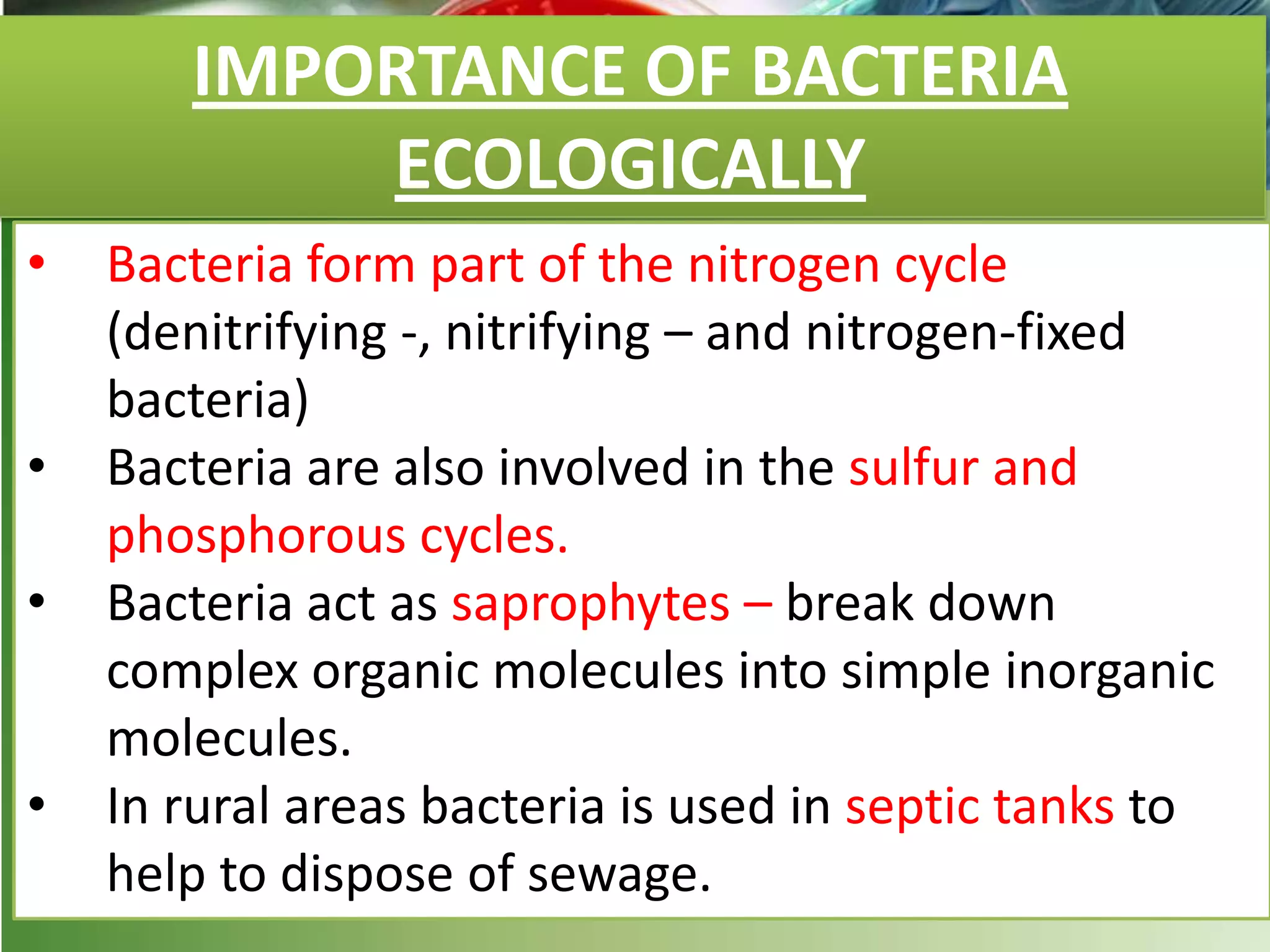 IMPORTANCE OF BACTERIA
ECOLOGICALLY
• Bacteria form part of the nitrogen cycle
(denitrifying -, nitrifying – and nitrogen-fixed
bacteria)
• Bacteria are also involved in the sulfur and
phosphorous cycles.
• Bacteria act as saprophytes – break down
complex organic molecules into simple inorganic
molecules.
• In rural areas bacteria is used in septic tanks to
help to dispose of sewage.
 