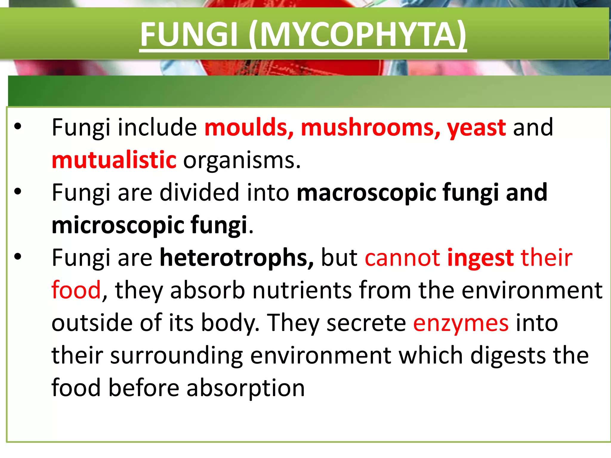 FUNGI (MYCOPHYTA)
• Fungi include moulds, mushrooms, yeast and
mutualistic organisms.
• Fungi are divided into macroscopic fungi and
microscopic fungi.
• Fungi are heterotrophs, but cannot ingest their
food, they absorb nutrients from the environment
outside of its body. They secrete enzymes into
their surrounding environment which digests the
food before absorption
 