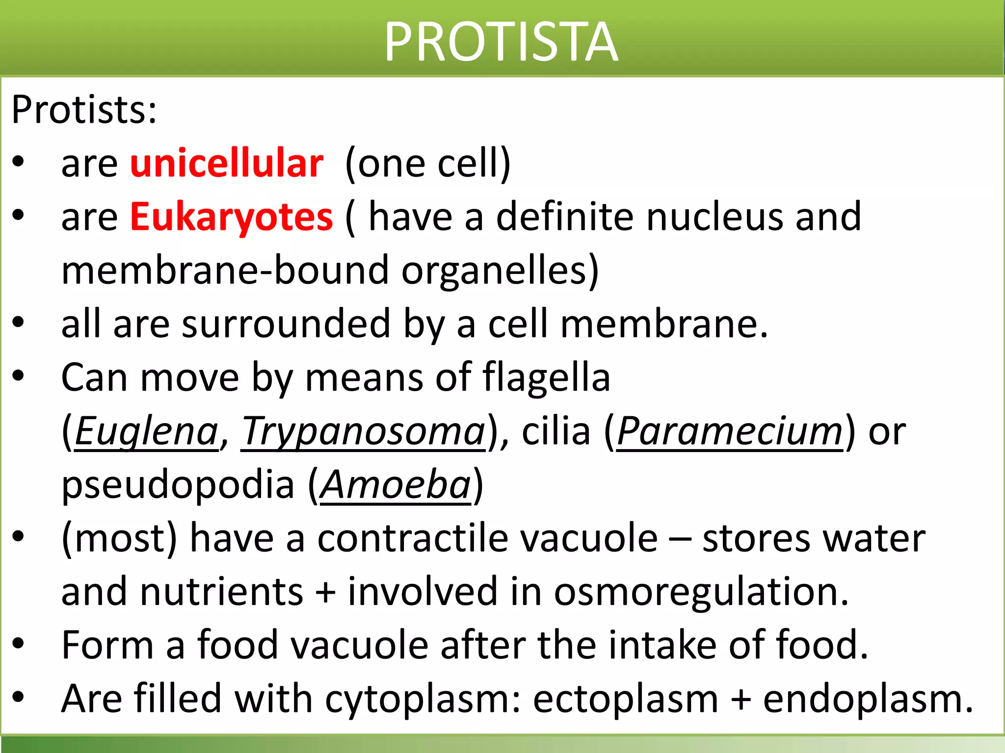 PROTISTA
Protists:
• are unicellular (one cell)
• are Eukaryotes ( have a definite nucleus and
membrane-bound organelles)
• all are surrounded by a cell membrane.
• Can move by means of flagella
(Euglena, Trypanosoma), cilia (Paramecium) or
pseudopodia (Amoeba)
• (most) have a contractile vacuole – stores water
and nutrients + involved in osmoregulation.
• Form a food vacuole after the intake of food.
• Are filled with cytoplasm: ectoplasm + endoplasm.
 