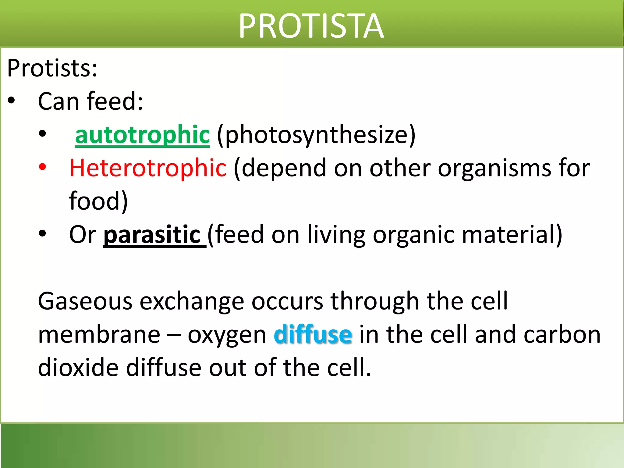 PROTISTA
Protists:
• Can feed:
• autotrophic (photosynthesize)
• Heterotrophic (depend on other organisms for
food)
• Or parasitic (feed on living organic material)
Gaseous exchange occurs through the cell
membrane – oxygen diffuse in the cell and carbon
dioxide diffuse out of the cell.
 