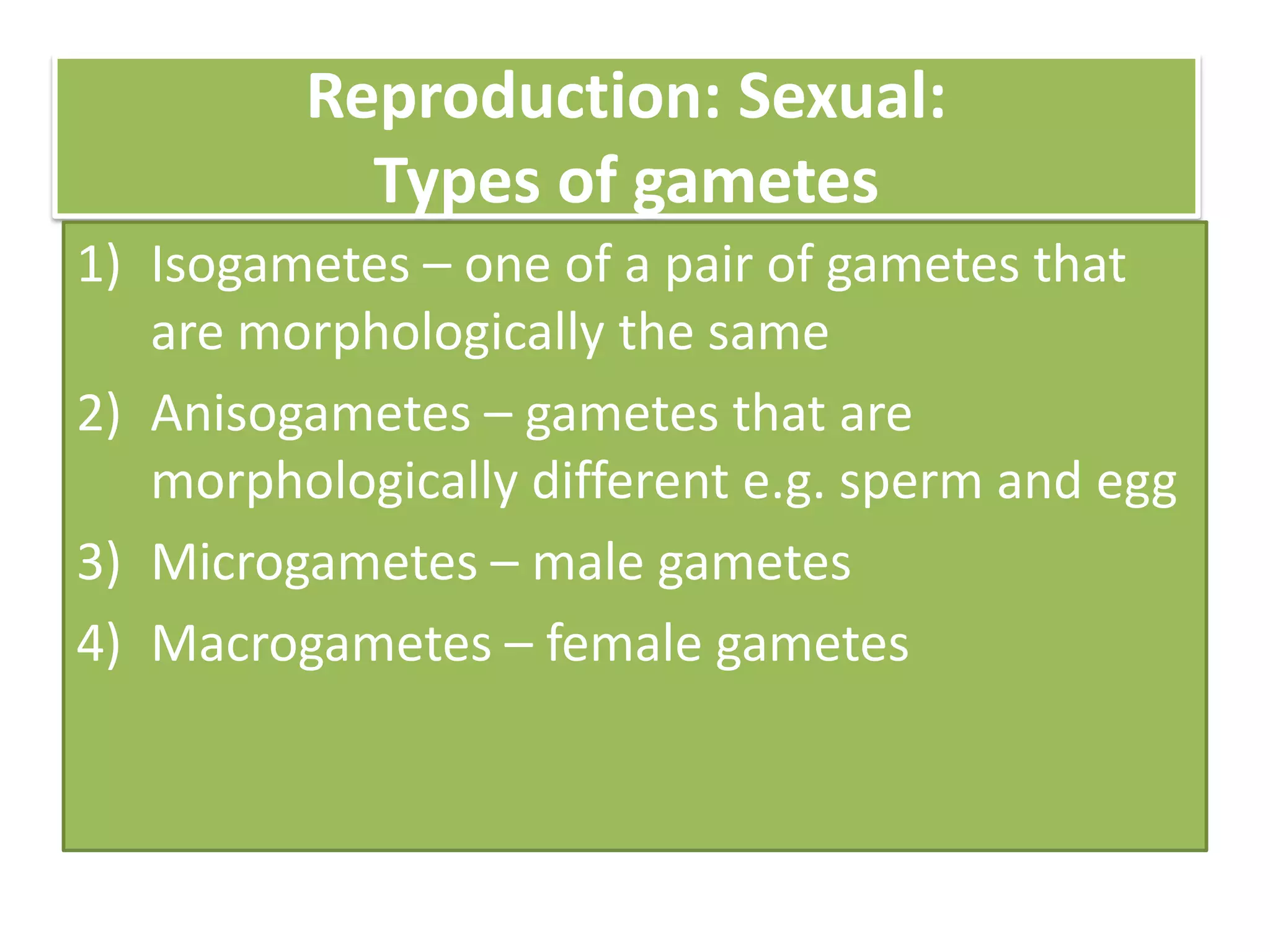 Reproduction: Sexual:
Types of gametes
1) Isogametes – one of a pair of gametes that
are morphologically the same
2) Anisogametes – gametes that are
morphologically different e.g. sperm and egg
3) Microgametes – male gametes
4) Macrogametes – female gametes
 
