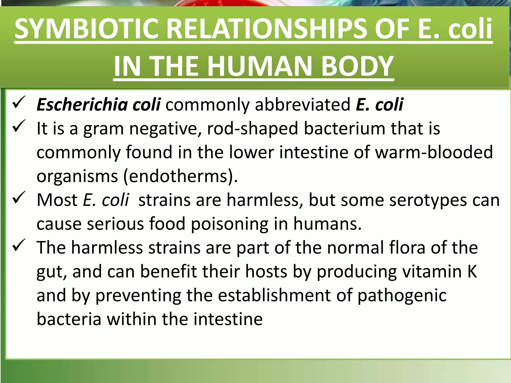 SYMBIOTIC RELATIONSHIPS OF E. coli
IN THE HUMAN BODY
 Escherichia coli commonly abbreviated E. coli
 It is a gram negative, rod-shaped bacterium that is
commonly found in the lower intestine of warm-blooded
organisms (endotherms).
 Most E. coli strains are harmless, but some serotypes can
cause serious food poisoning in humans.
 The harmless strains are part of the normal flora of the
gut, and can benefit their hosts by producing vitamin K
and by preventing the establishment of pathogenic
bacteria within the intestine
 