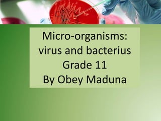 Micro-organisms:
virus and bacterius
Grade 11
By Obey Maduna
 