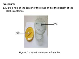 Procedure:
1. Make a hole at the center of the cover and at the bottom of the
plastic container.
Figure 7. A plastic container with holes
 