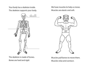Unit1 mybody