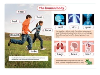 Unit1 mybody