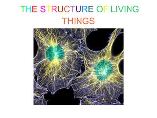 THE STRUCTURE OF LIVING
THINGS
 