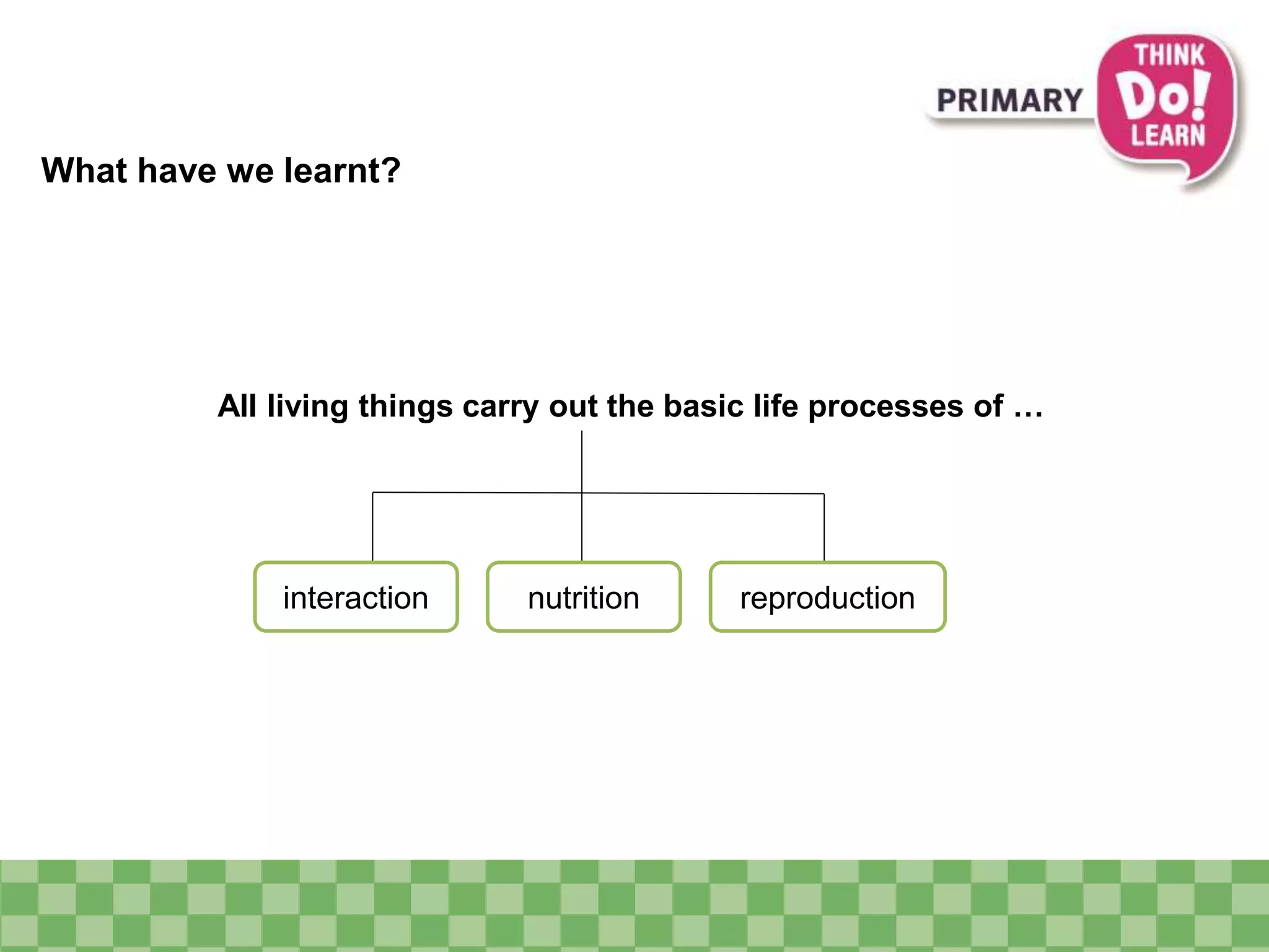 What have we learnt? 
All living things carry out the basic life processes of … 
interaction nutrition reproduction 
 