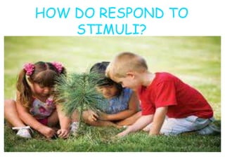 HOW DO RESPOND TO
STIMULI?
 