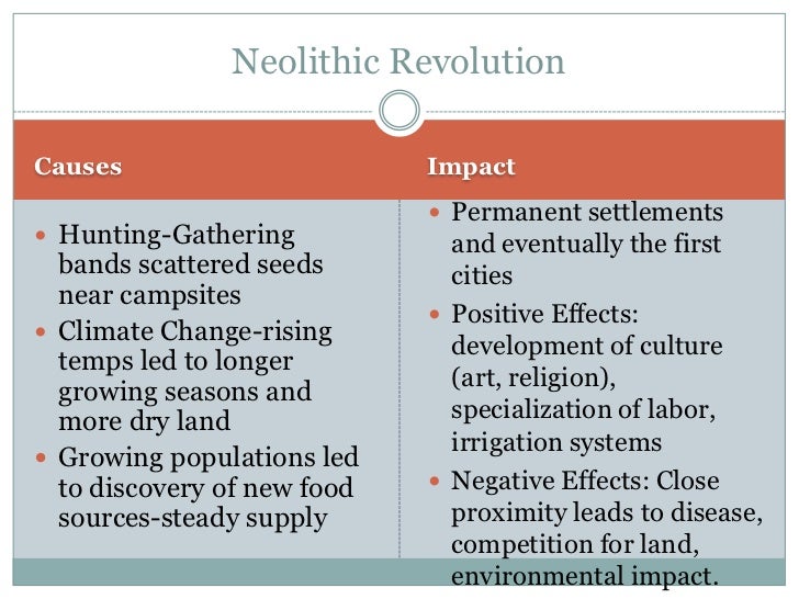 The neolithic revolution essay