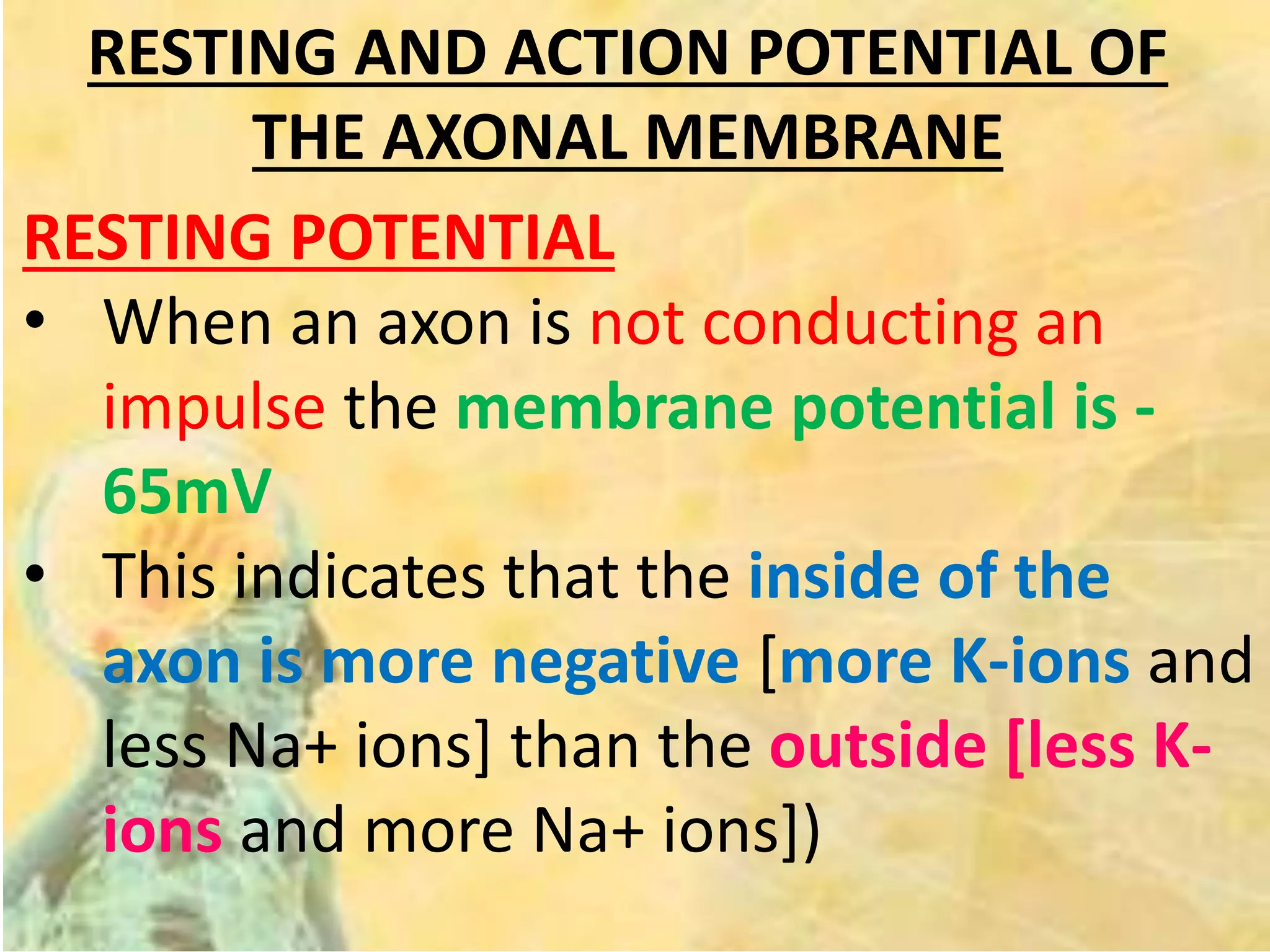 RESTING AND ACTION POTENTIAL OF
THE AXONAL MEMBRANE
RESTING POTENTIAL
• When an axon is not conducting an
impulse the membrane potential is -
65mV
• This indicates that the inside of the
axon is more negative [more K-ions and
less Na+ ions] than the outside [less K-
ions and more Na+ ions])
 