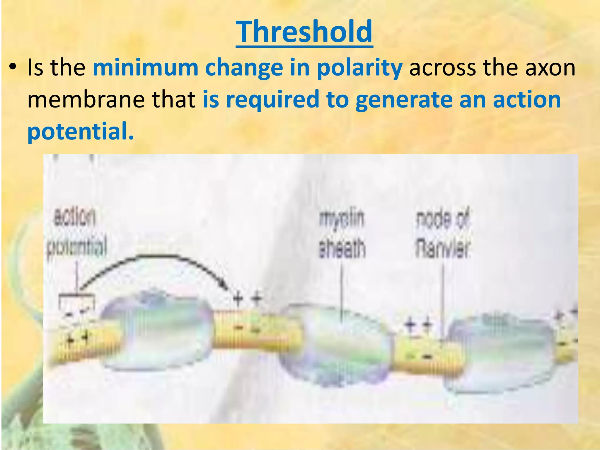 Threshold
• Is the minimum change in polarity across the axon
membrane that is required to generate an action
potential.
 