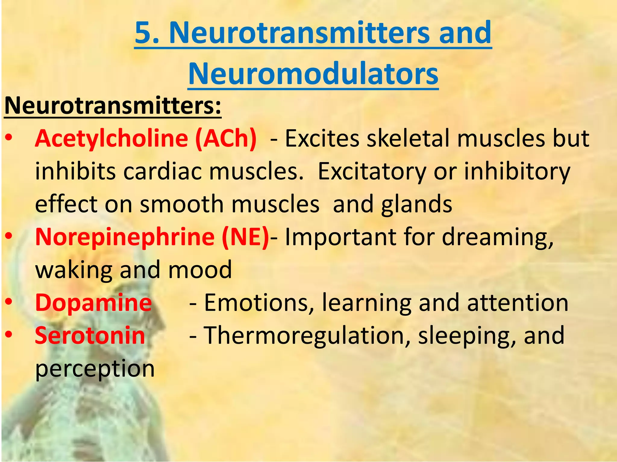 5. Neurotransmitters and
Neuromodulators
Neurotransmitters:
• Acetylcholine (ACh) - Excites skeletal muscles but
inhibits cardiac muscles. Excitatory or inhibitory
effect on smooth muscles and glands
• Norepinephrine (NE)- Important for dreaming,
waking and mood
• Dopamine - Emotions, learning and attention
• Serotonin - Thermoregulation, sleeping, and
perception
 