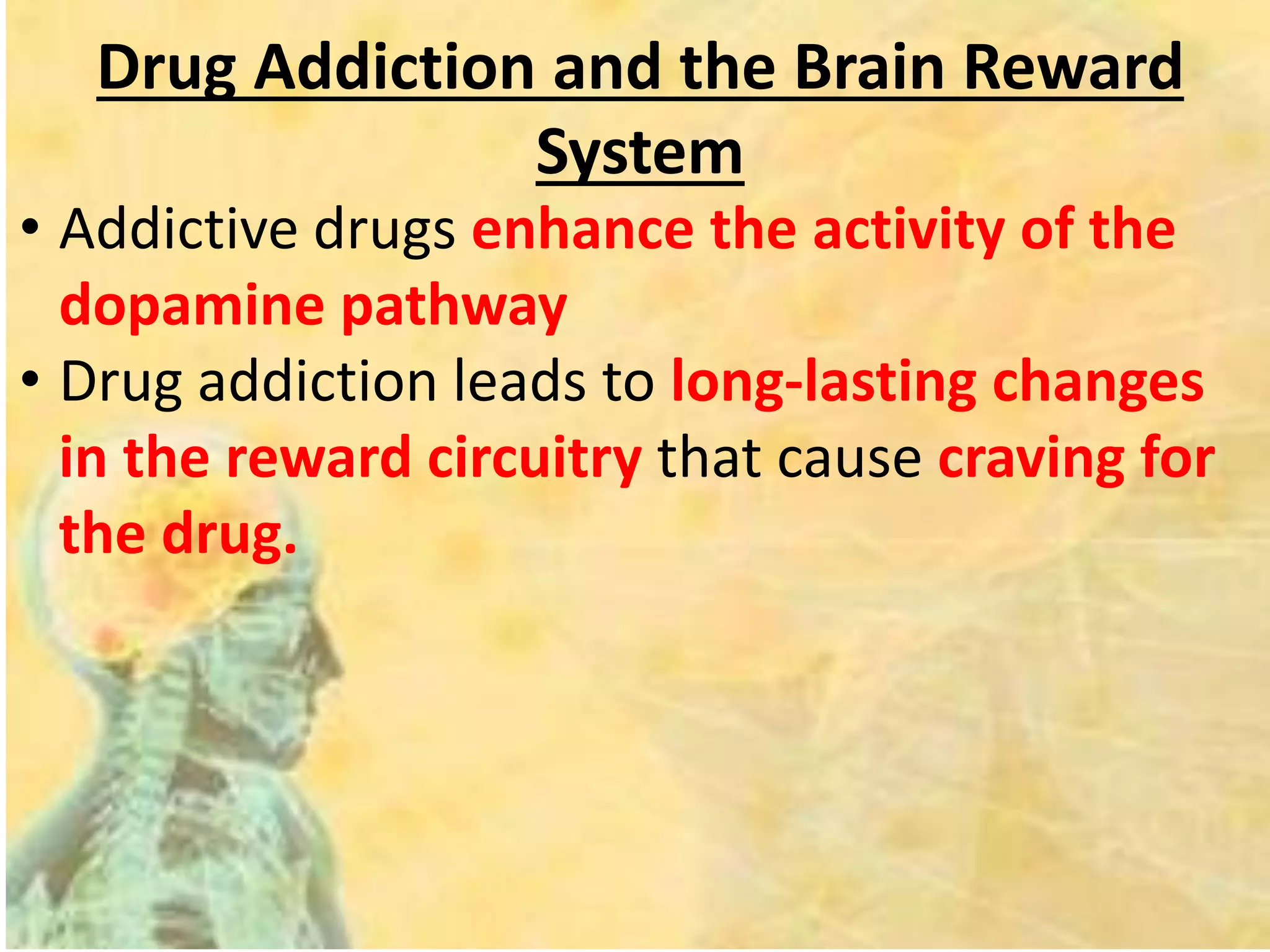 Drug Addiction and the Brain Reward
System
• Addictive drugs enhance the activity of the
dopamine pathway
• Drug addiction leads to long-lasting changes
in the reward circuitry that cause craving for
the drug.
 
