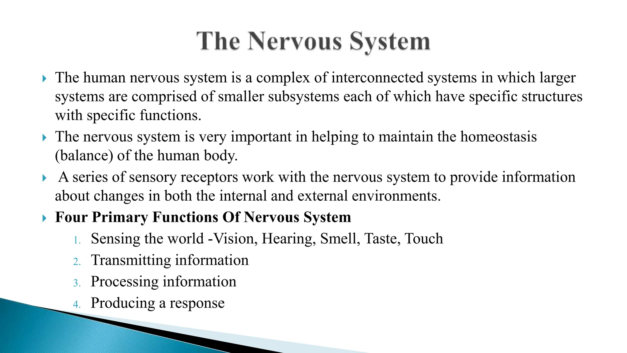  The human nervous system is a complex of interconnected systems in which larger
systems are comprised of smaller subsystems each of which have specific structures
with specific functions.
 The nervous system is very important in helping to maintain the homeostasis
(balance) of the human body.
 A series of sensory receptors work with the nervous system to provide information
about changes in both the internal and external environments.
 Four Primary Functions Of Nervous System
1. Sensing the world -Vision, Hearing, Smell, Taste, Touch
2. Transmitting information
3. Processing information
4. Producing a response
 