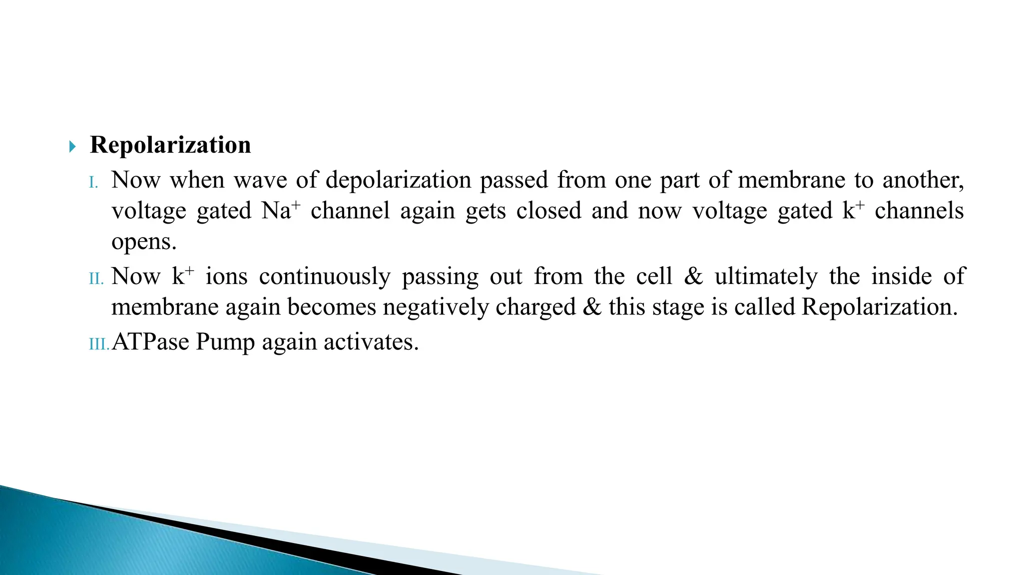  Repolarization
I. Now when wave of depolarization passed from one part of membrane to another,
voltage gated Na+ channel again gets closed and now voltage gated k+ channels
opens.
II. Now k+ ions continuously passing out from the cell & ultimately the inside of
membrane again becomes negatively charged & this stage is called Repolarization.
III.ATPase Pump again activates.
 