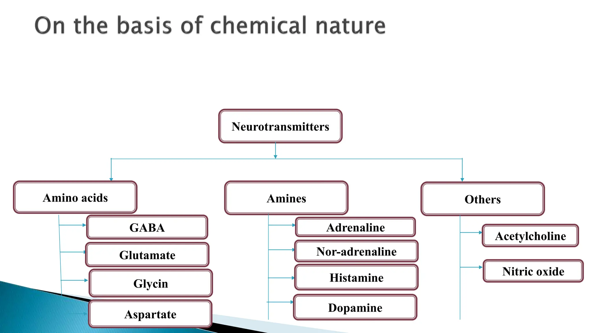 Neurotransmitters
Amino acids Amines Others
Nitric oxide
Acetylcholine
Adrenaline
Dopamine
Histamine
Nor-adrenaline
GABA
Glutamate
Glycin
Aspartate
 