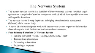 Curated visual reference: Picture Idea: Unit 1 Nervous System Pptx By Nutan Kamble