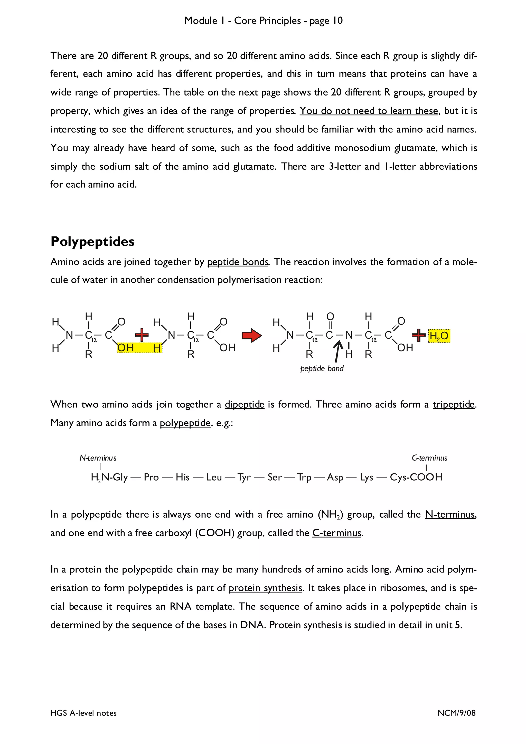 Module 1 - Core Principles - page 10
There are 20 different R groups, and so 20 different amino acids. Since each R group is slightly different, each amino acid has different properties, and this in turn means that proteins can have a
wide range of properties. The table on the next page shows the 20 different R groups, grouped by
property, which gives an idea of the range of properties. You do not need to learn these, but it is
interesting to see the different structures, and you should be familiar with the amino acid names.
You may already have heard of some, such as the food additive monosodium glutamate, which is
simply the sodium salt of the amino acid glutamate. There are 3-letter and 1-letter abbreviations
for each amino acid.

Polypeptides
Amino acids are joined together by peptide bonds. The reaction involves the formation of a molecule of water in another condensation polymerisation reaction:

H

H
N
H

Cα C
R

O

H

H
N

OH

H

Cα C
R

O

H

H
N

OH

H

O

H

Cα C

N

R

H

Cα C
R

O
H2 O
OH

peptide bond

When two amino acids join together a dipeptide is formed. Three amino acids form a tripeptide.
Many amino acids form a polypeptide. e.g.:
N-terminus

C-terminus

H2 N-Gly — Pro — His — Leu — Tyr — Ser — Trp — Asp — Lys — Cys-COOH

In a polypeptide there is always one end with a free amino (NH2) group, called the N-terminus,
and one end with a free carboxyl (COOH) group, called the C-terminus.
In a protein the polypeptide chain may be many hundreds of amino acids long. Amino acid polymerisation to form polypeptides is part of protein synthesis. It takes place in ribosomes, and is special because it requires an RNA template. The sequence of amino acids in a polypeptide chain is
determined by the sequence of the bases in DNA. Protein synthesis is studied in detail in unit 5.

HGS A-level notes

NCM/9/08

 